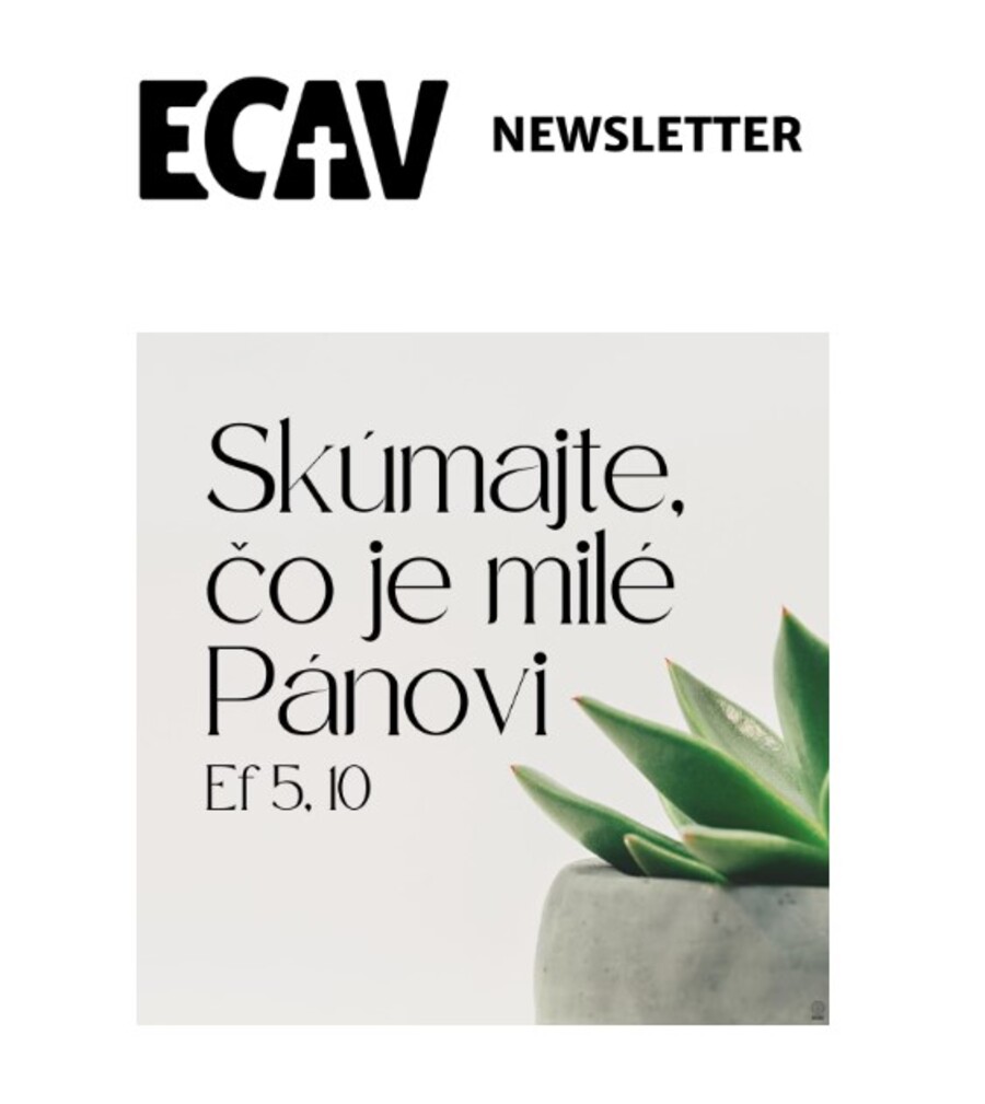 Newsletter ECAV- 11.11.2022