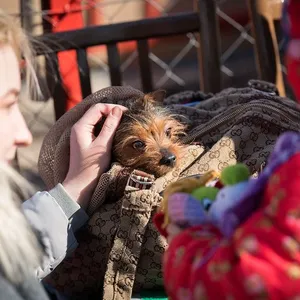 Členská cirkev Svetového luteránskeho zväzu na Slovensku prijala utečencov z Ukrajiny