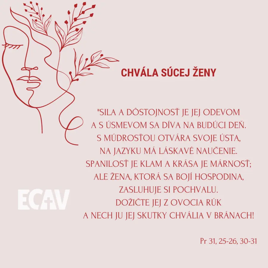 Chvála súcej ženy