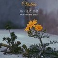 Odolná- ženská konferencia