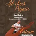 Boris Čellár a jeho hudobná improvizácia na diela Martina Dzureka