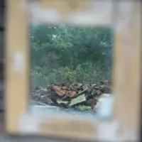 Pripomíname si a obnovujeme náš záväzok k mieru