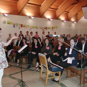 Švédsky spevokol navštívil Bratislavu