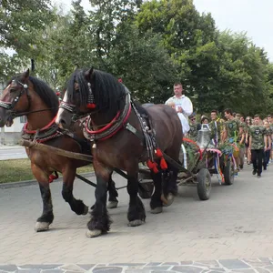 Ordinácia novokňazov v priamom prenose RTVS 29. septembra 2019