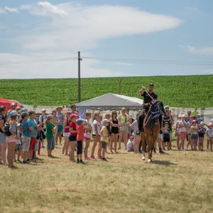 SEMfest 2019