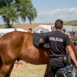 EPS aktívna na SEMfeste 2019