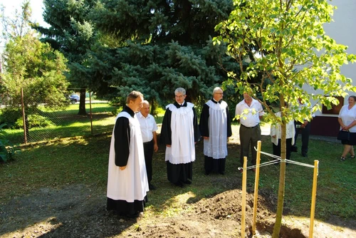 2. Baum der Reformation 