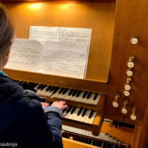  Píšťalový organ v CZ ECAV Považská Bystrica