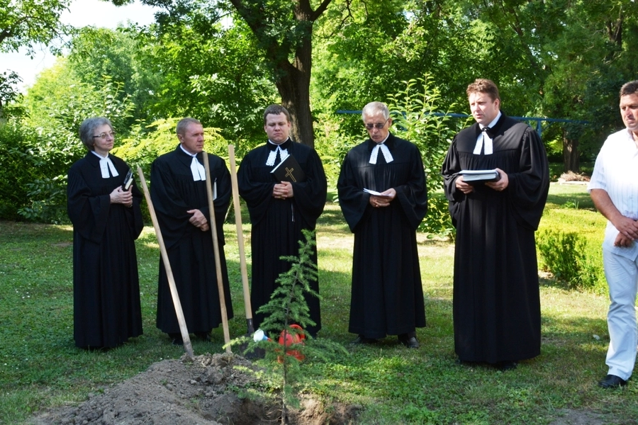 Strom reformácie v Pivnici