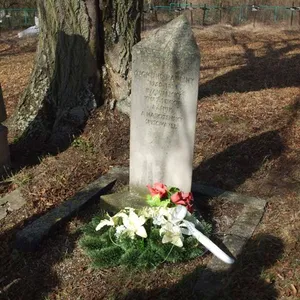 Paulíny, Žigmund  (1750 - 1831)