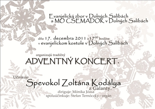 Adventný koncert v Dolných Salibách