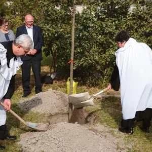 Strom reformácie vo Veľkých Úľanoch