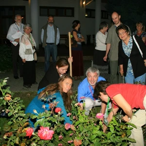 ECEN 2014; Tamas Kodacsy_0614