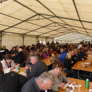 Zo 47. dňa slovinskej Podpornice