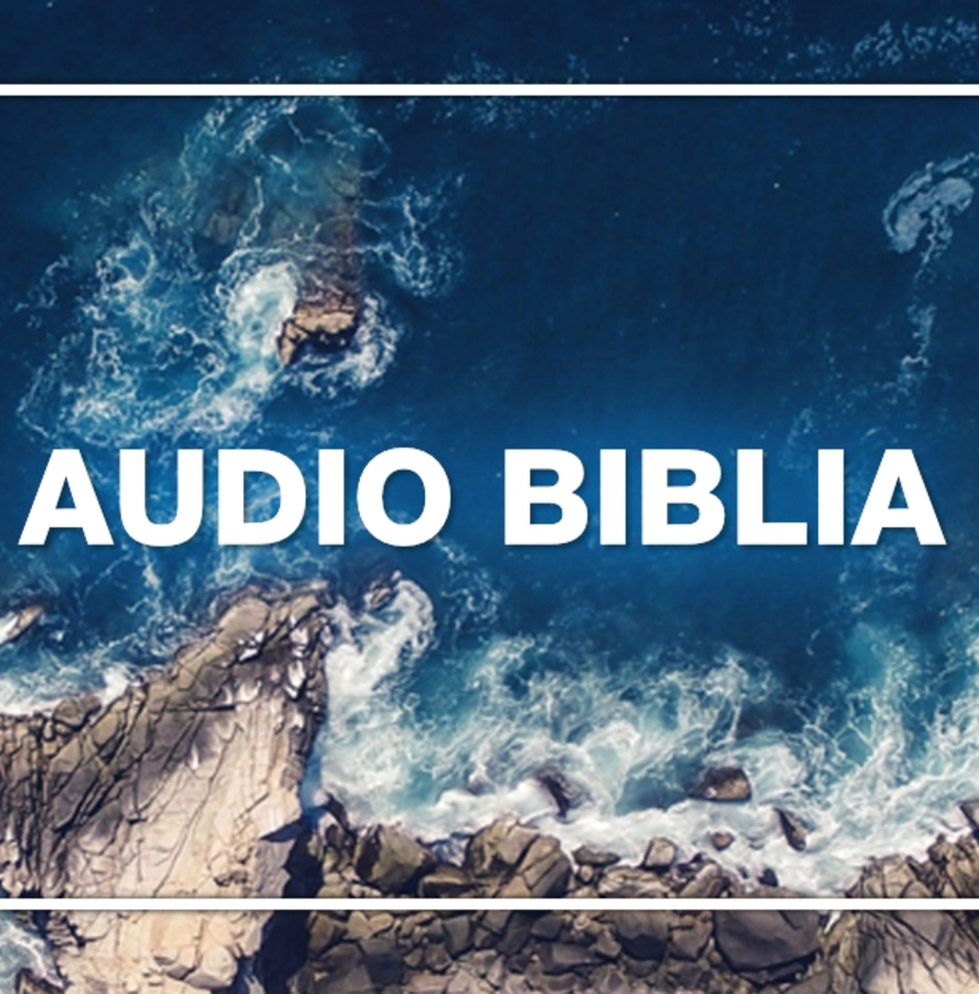 Audio Biblia už aj na internete 