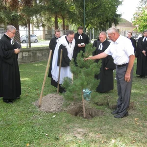 Strom reformácie zasadili aj v Hložanoch