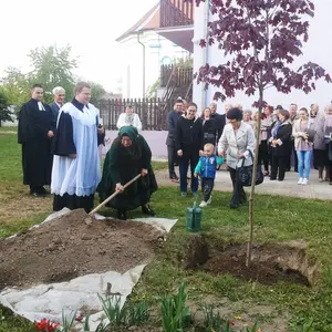 Strom reformácie v srbskom Erdevíku