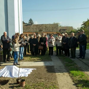 Strom reformácie v Báčskej Palánke