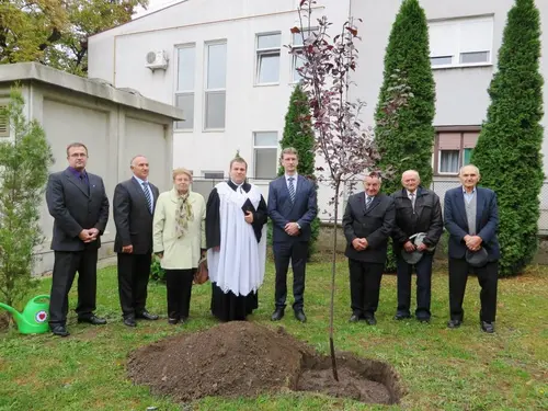 Strom reformácie v Báčskom Petrovci