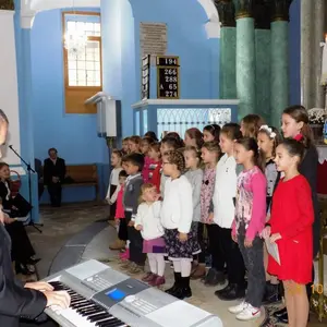 Strom reformácie v Báčskom Petrovci