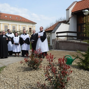 Inštalácia v Lučenci a strom reformácie