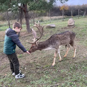 Tábor pre 16 detí z Ukrajiny