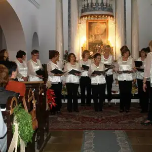 Veľkokrtíšania na návšteve v Nadlaku