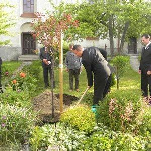  Strom reformácie zasadili v Badíne  