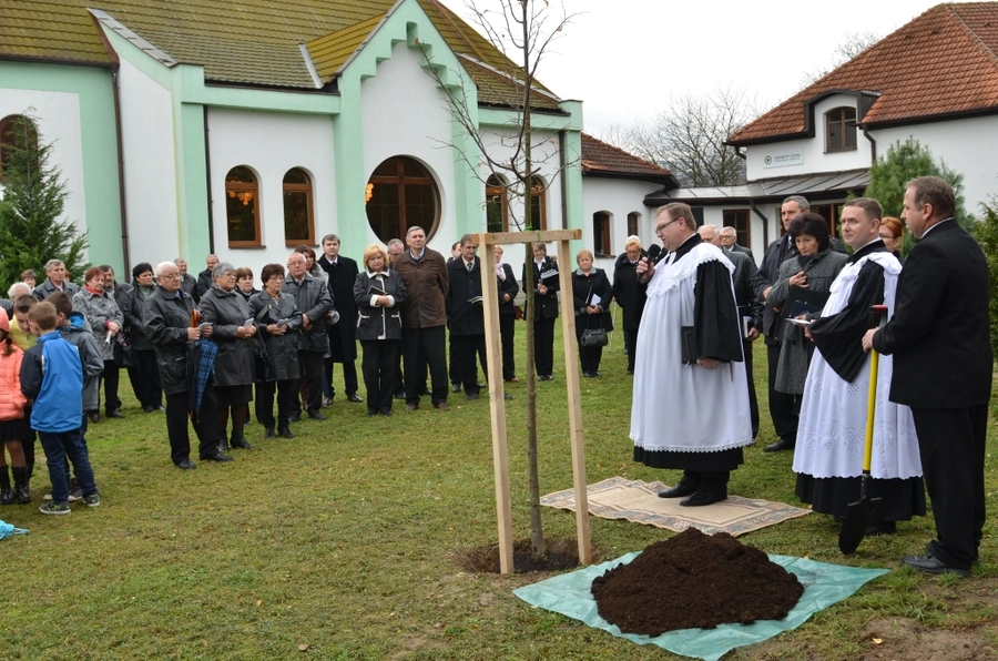    Strom reformácie a nový organ v Soli