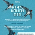 Ako prišli lastovičky domov (Legionárska Bratislava)
