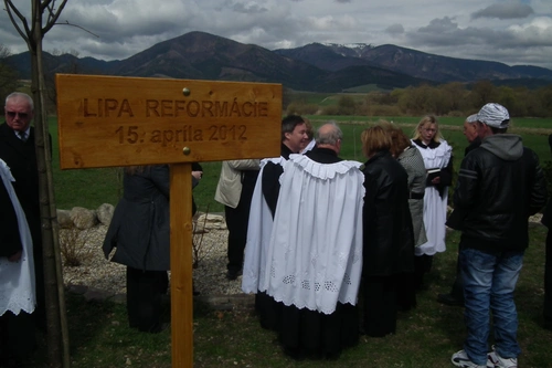 Weiterer Baum der Reformation in Príbovce gepflanzt 