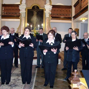 V Lubine na pamiatku J. Ľ. Holubyho 
