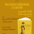 Prechádzky labyrintom literatúry- Vlasta Okoličányová